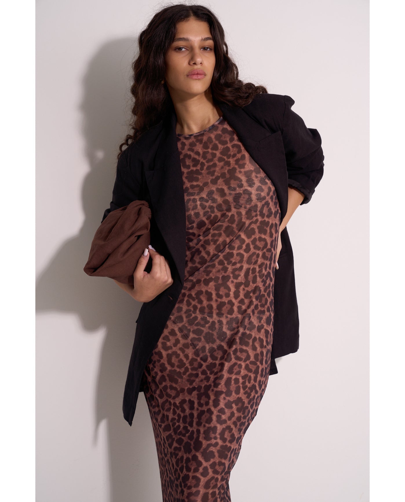 Wild Mesh Long Sleeve Dress Cover-Up | Leopard