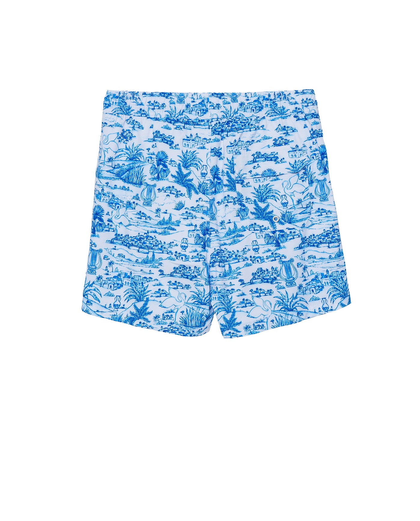 Summer Toile 5" Swim Trunks -Blue/ white
