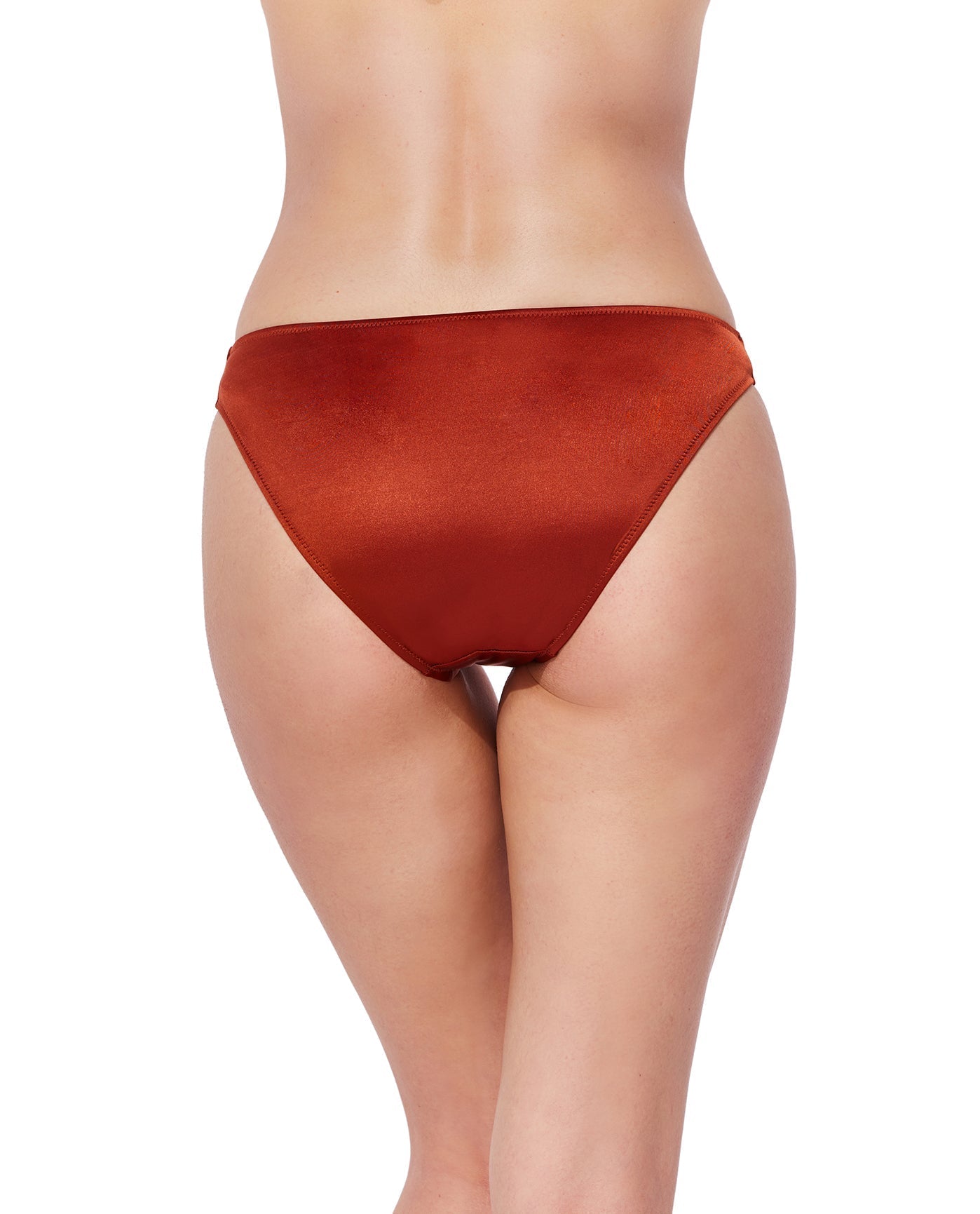 Back View Of Mademoiselle Mid Waist Bikini Bottom | mademoiselle-brick
