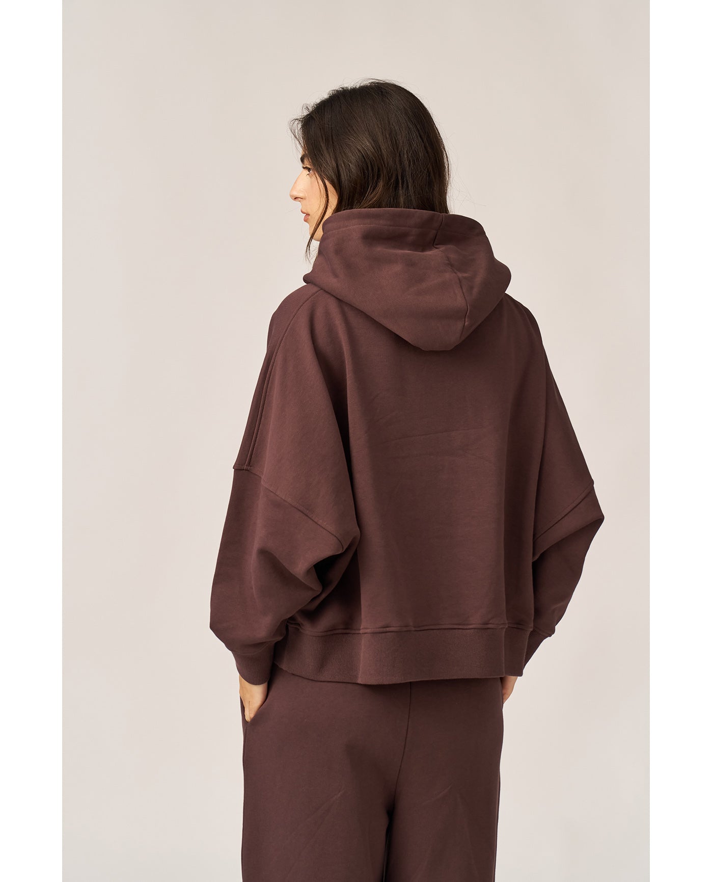 Cozy Coast Airport Hooded Sweatshirt -Brown