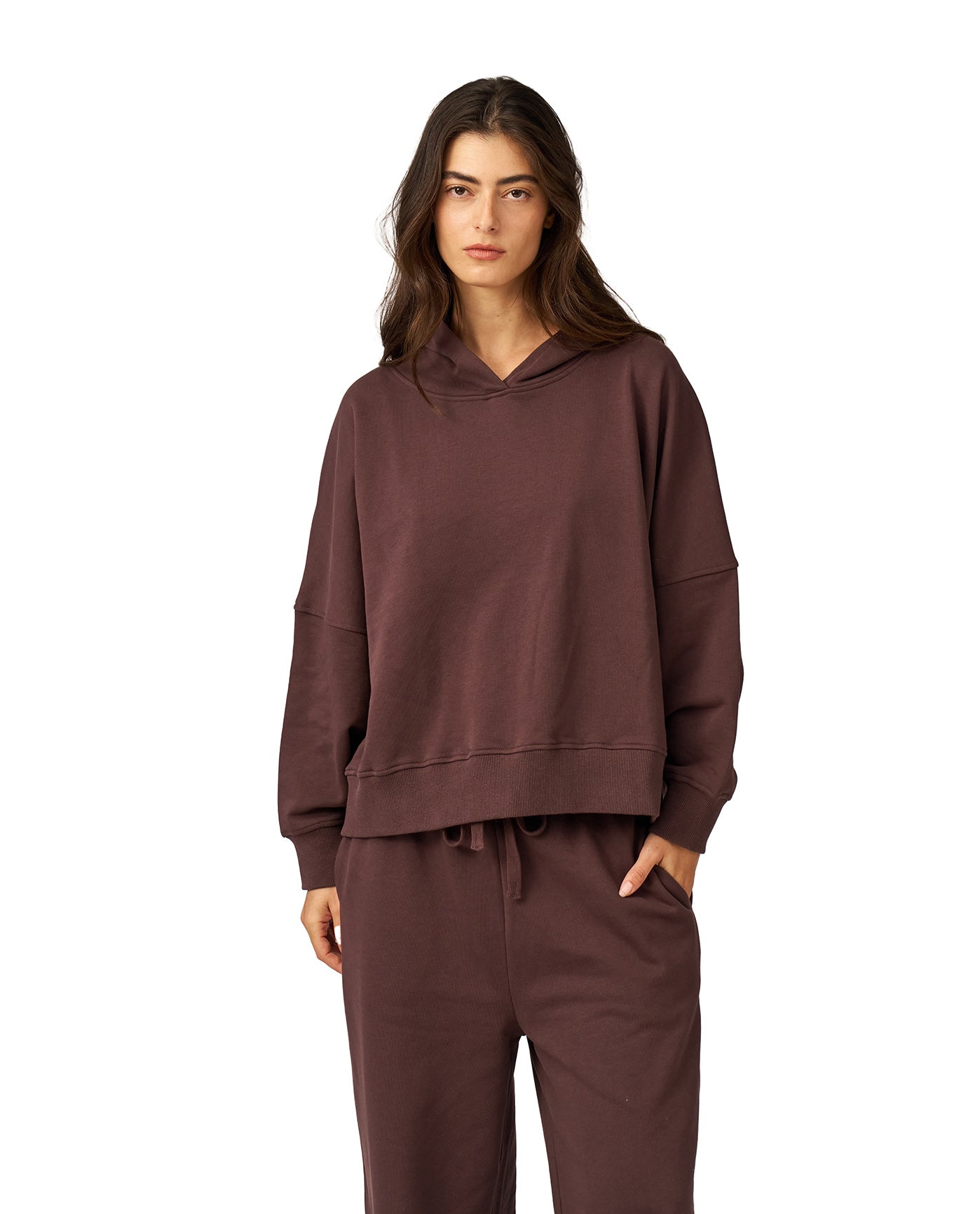 Cozy Coast Airport Hooded Sweatshirt -Brown