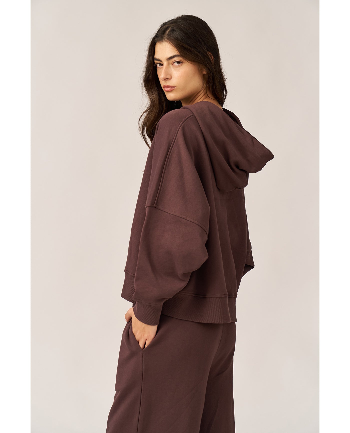 Cozy Coast Airport Hooded Sweatshirt -Brown